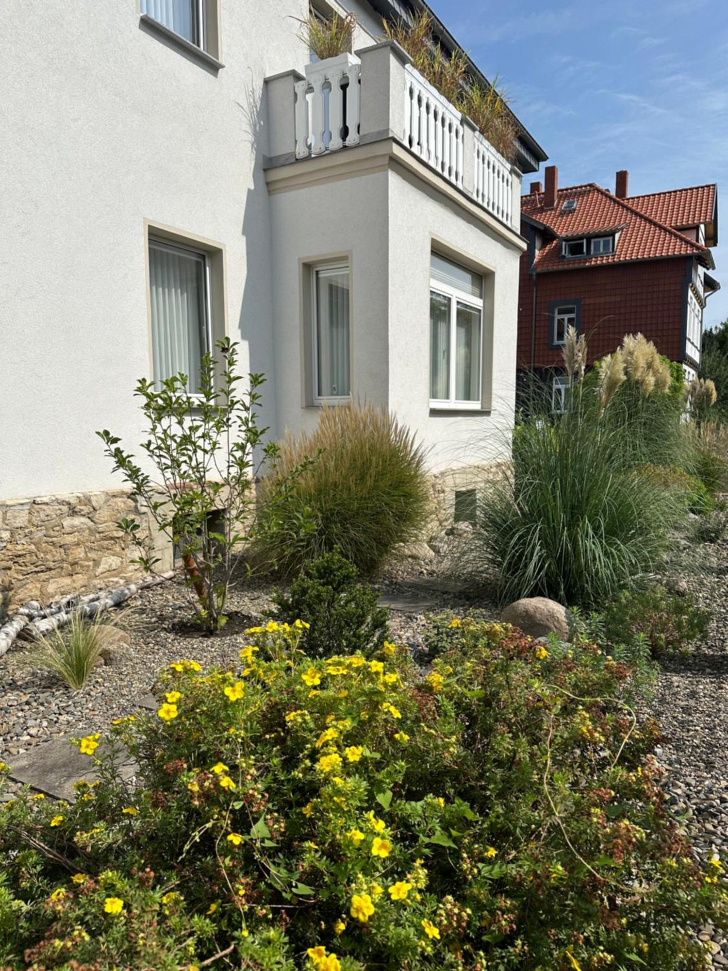 Auguststadt-residenz Appartamento